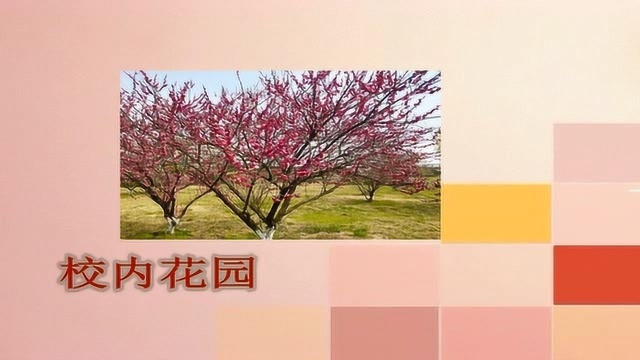 湖北中医药大学