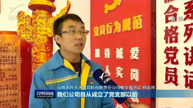 奋进2019 阳宗海:强化非公党建 夯实基础促发展