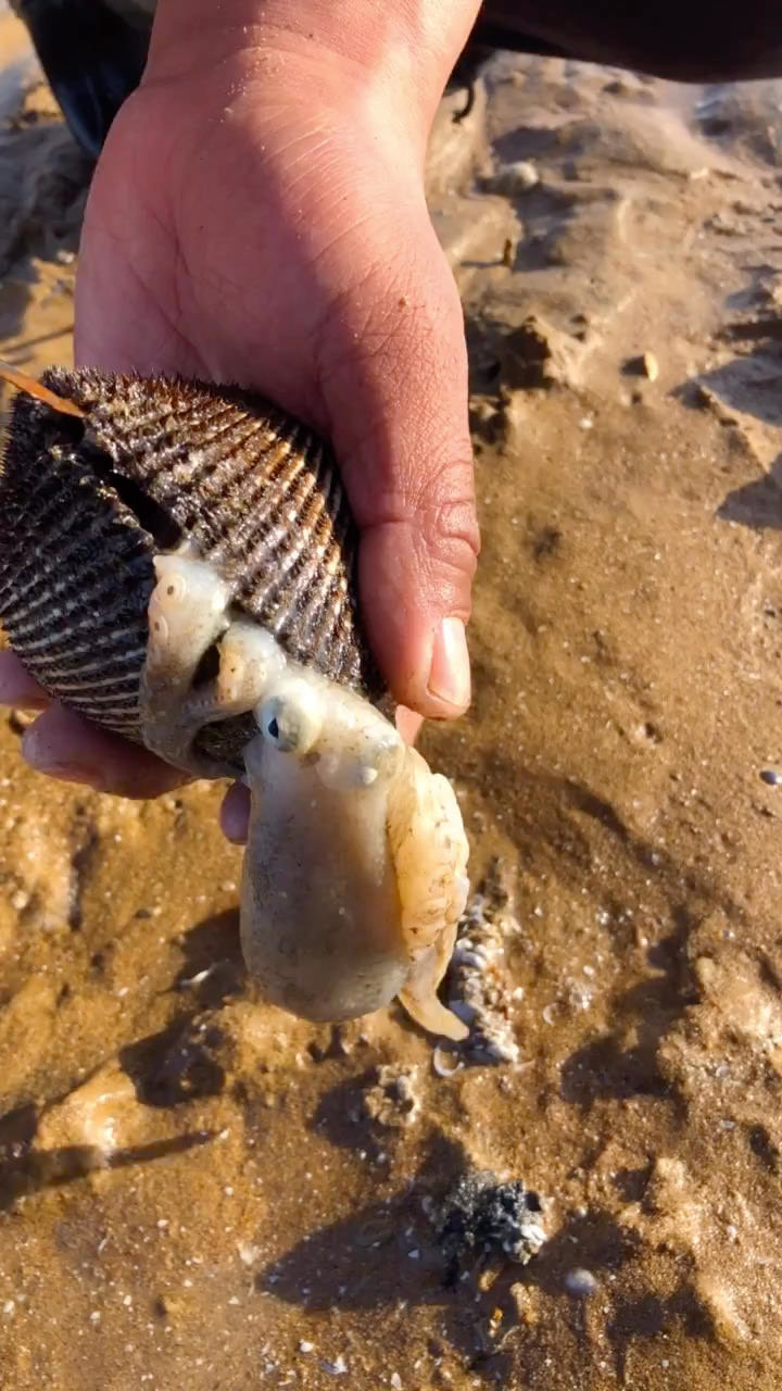 发现更多有趣 帮帮八爪鱼.