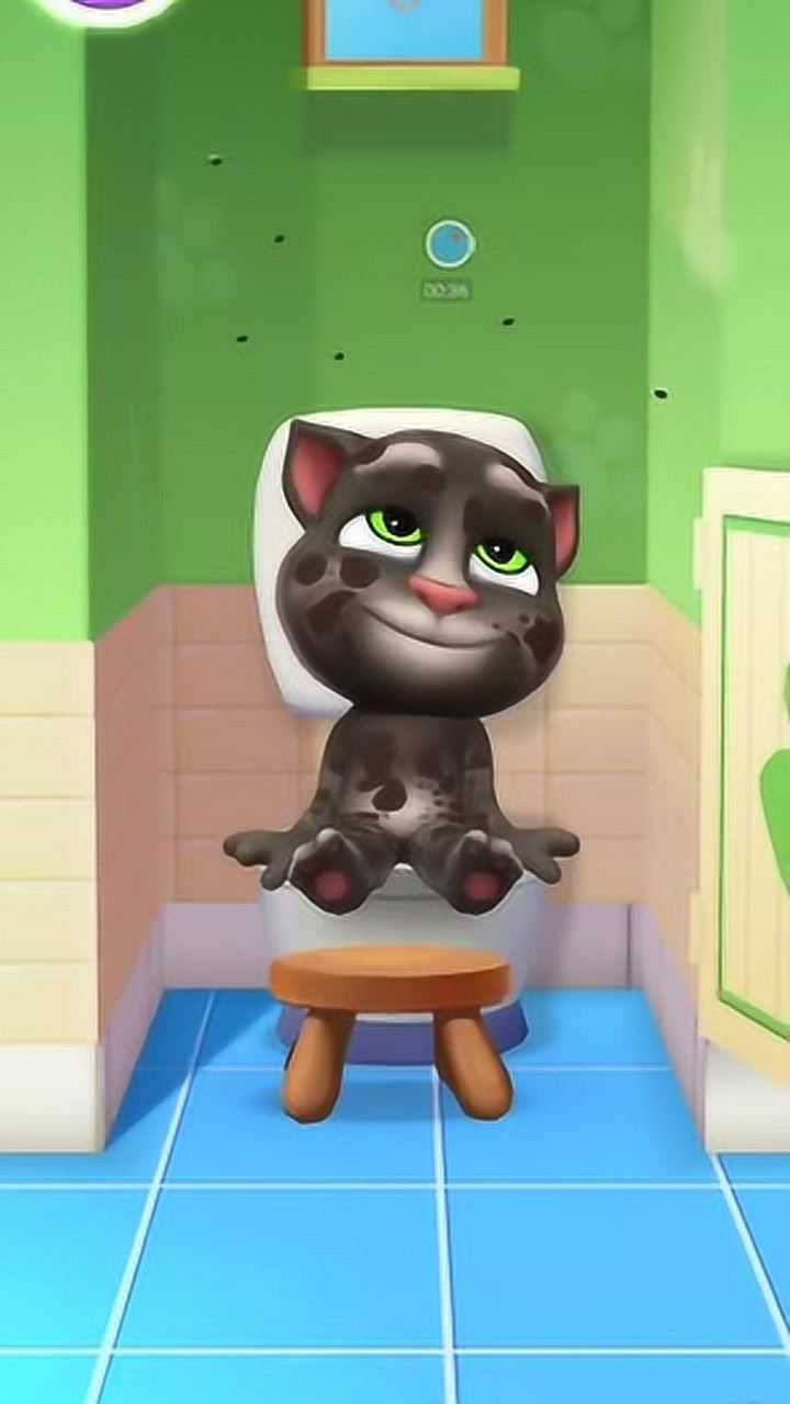 《我的汤姆猫2》手游,汤姆猫去厕所都去半天了