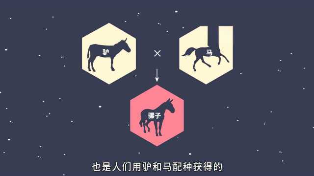 【生物大师】育种 当代神农