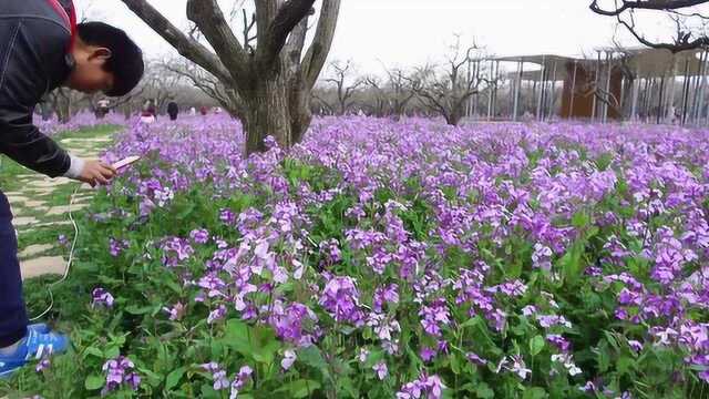 宿迁三台山一日游