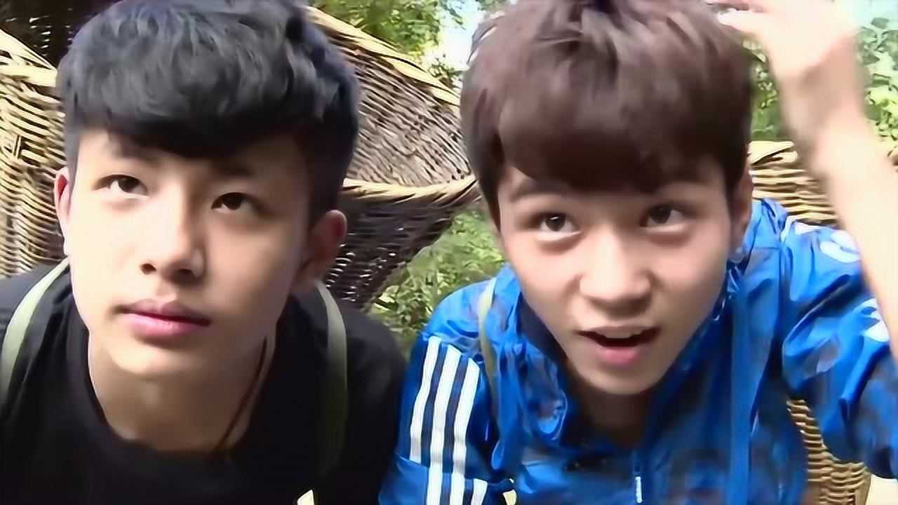 陈子韵一直想和杨桐林宗德"结盟"却没想到关系更僵了