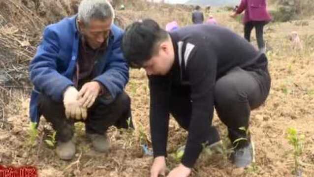 沿河新闻2019年3月27日