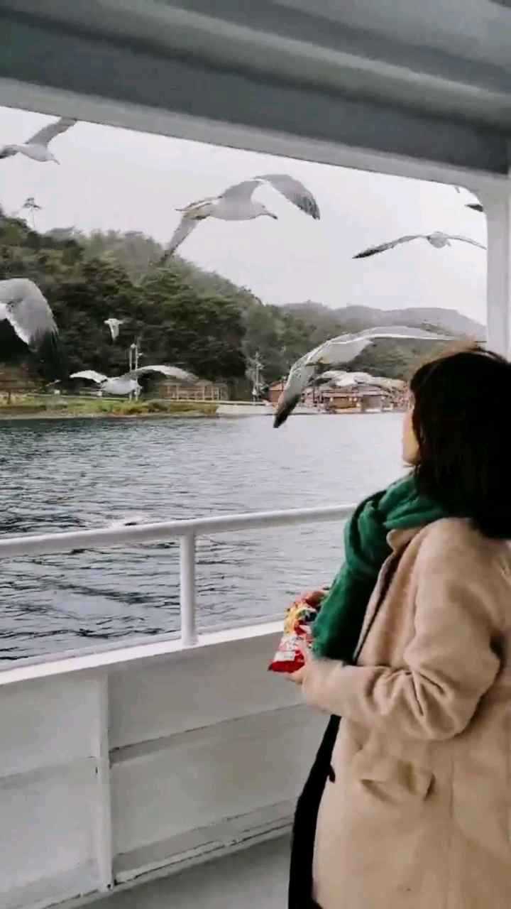 在伊根湾码头,坐船出海,当了一回韩剧女主角.