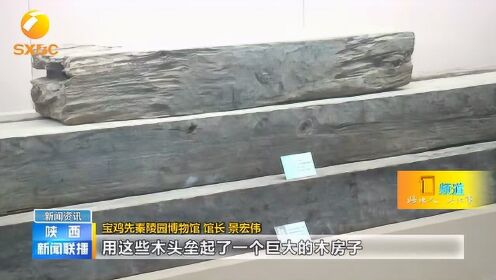 秦公一号大墓发现历史盗洞247个，仍出土珍贵文物3500多件