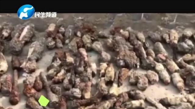 场面震撼!商丘工人工地施工挖出3000余枚炸弹,推测为抗日战争遗留