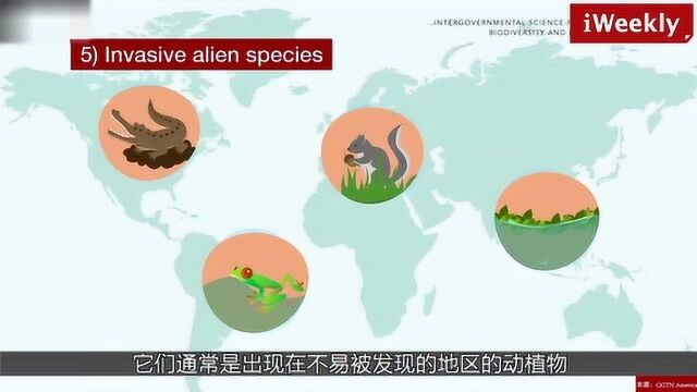 100万动植物种将濒危灭绝,人类活动为主要原因