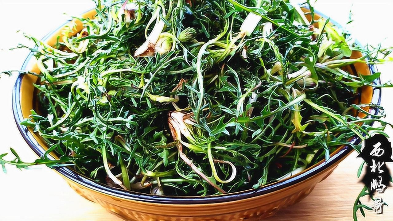 这是什么菜,这个野菜西北叫黄花菜,东北叫婆婆菜,天然无公害