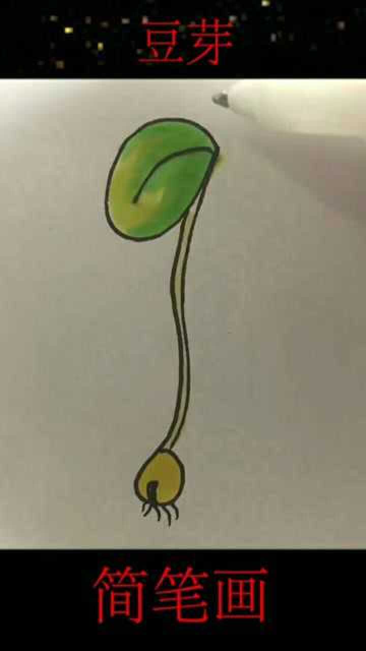 简笔画画豆芽