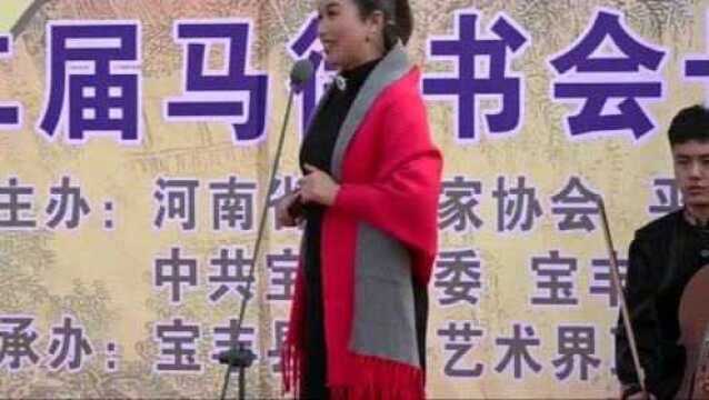 张晓霞唱河南坠子《大红袍》真不赖