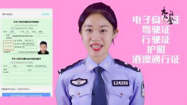 大话此警之湖南公安服务平台