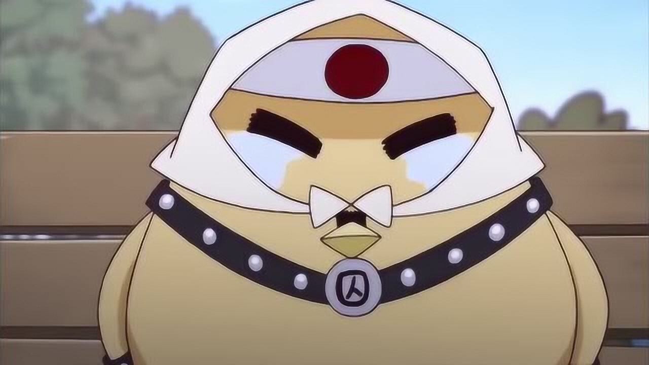 那年那兔那些事儿脚盆鸡回想当年不禁流泪竟是又在拍鹰屁