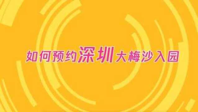 深圳大梅沙入园如何预约?