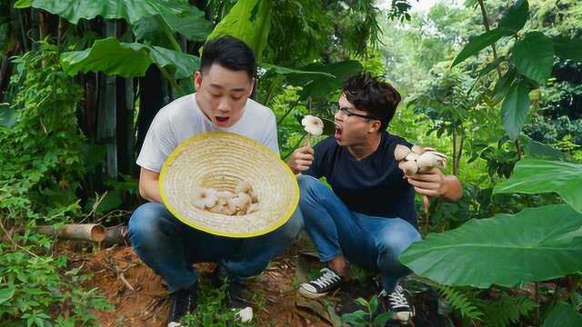 300一斤野生极品荔枝菌清甜爽口一吃难忘