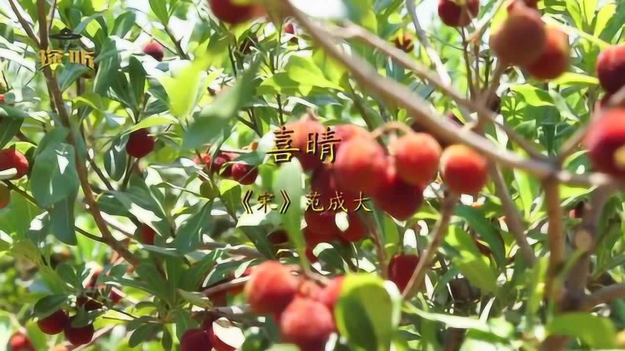 古诗-喜晴《宋》范成大