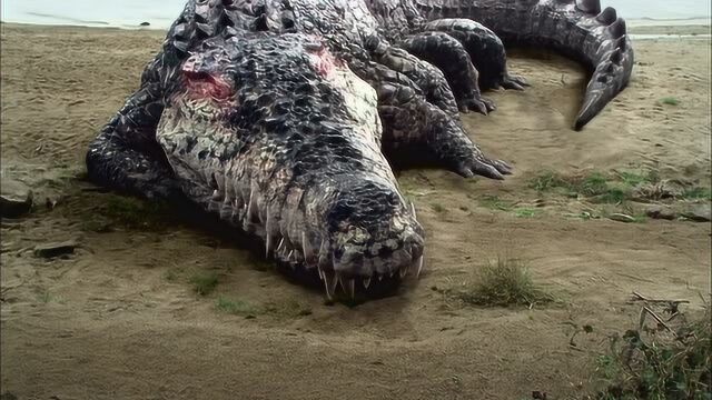 神秘岛生物变异,巨型鳄鱼出动,隔着屏幕都能感到颤动!