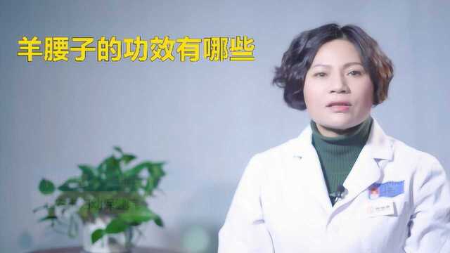 羊腰子的功效有哪些