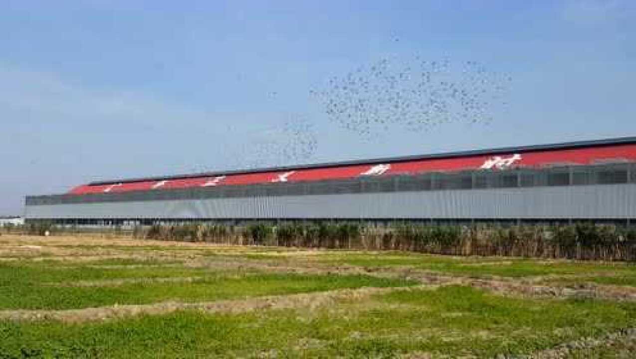 开尔爱心公棚大棚爱鸽晨练