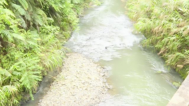 陈志峰率队开展县城饮用水源地环境安全保护工作调研