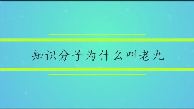 知识分子为什么叫老九