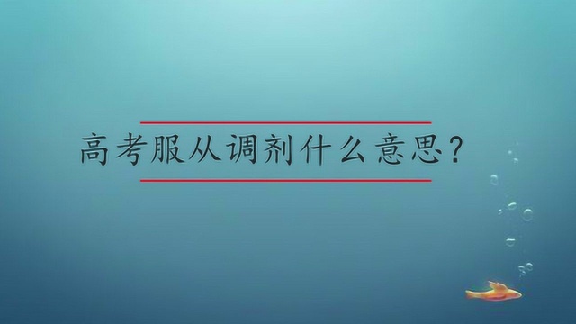 高考服从调剂什么意思?