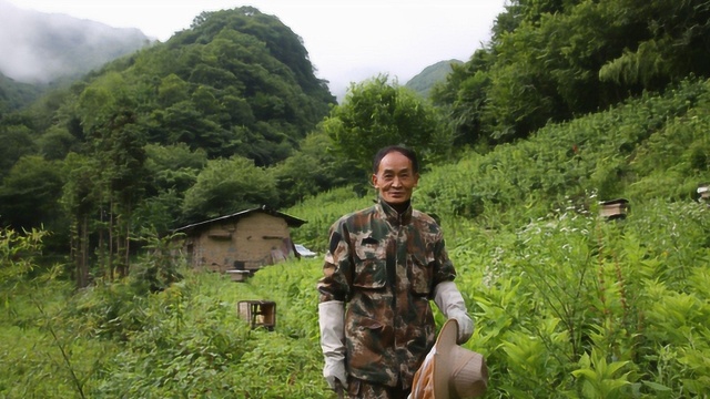 周正龙和老伴住废弃土房深山养蜂,儿子儿媳放弃生意加盟甜蜜事业