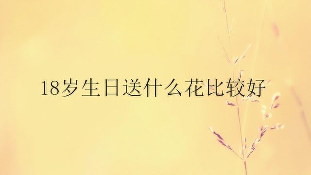 18岁生日送什么花比较好