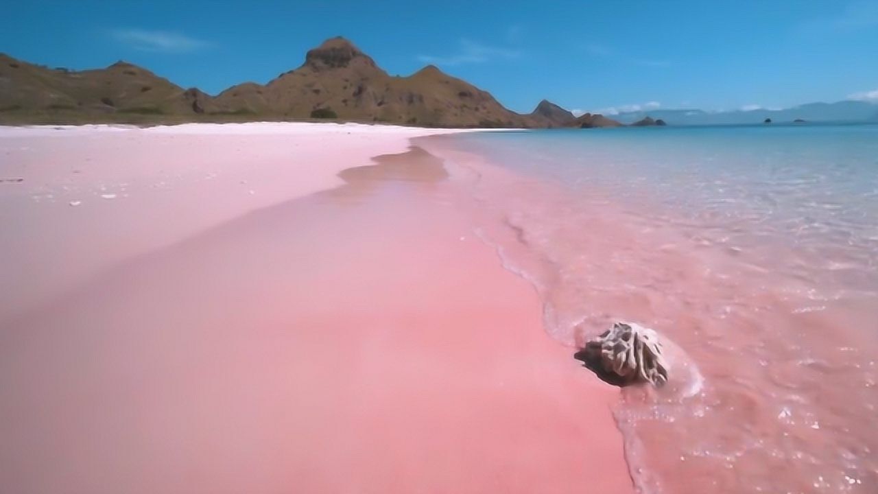 科莫多岛粉色沙滩少女心泛滥风景美如画