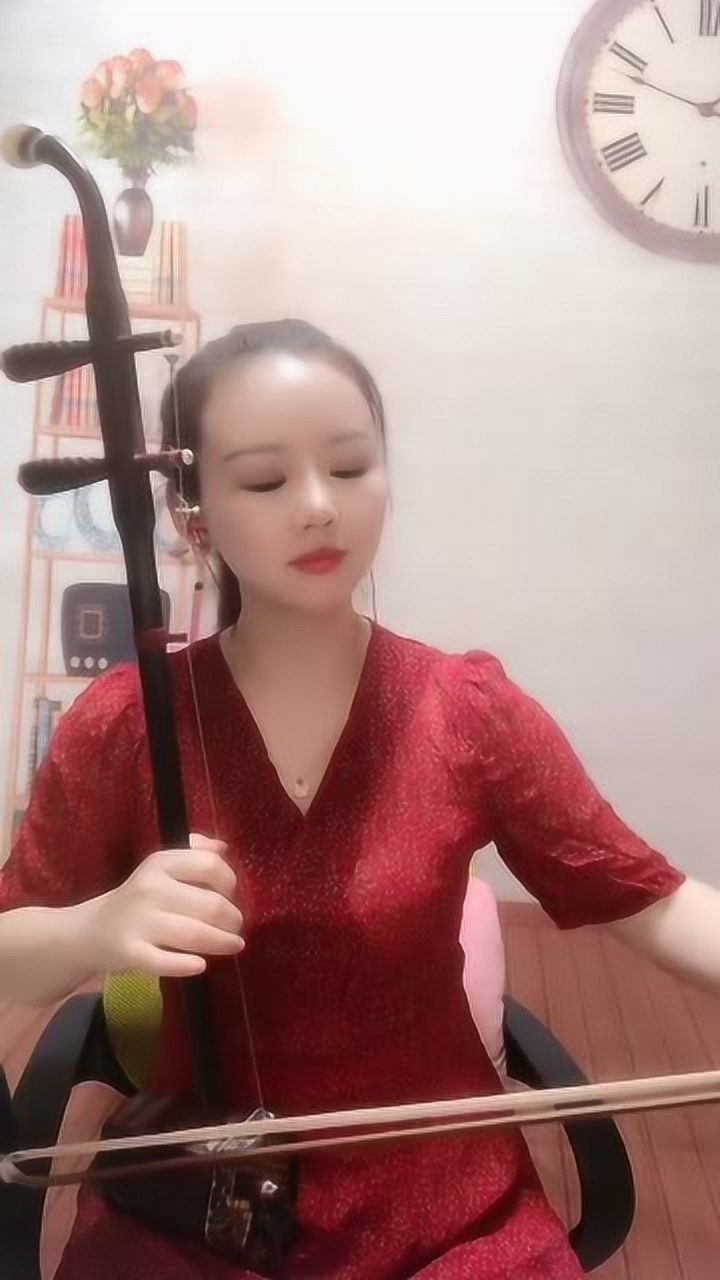 二胡独奏送亲歌鸿雁展翅飞向南方芳草低头躲秋凉