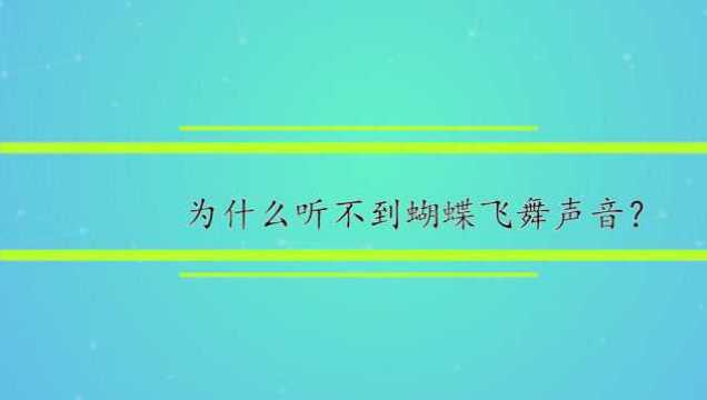 为什么听不到蝴蝶飞舞声音?