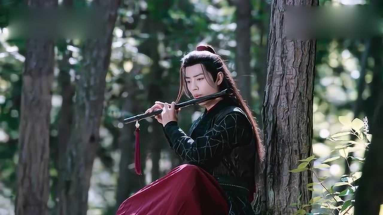 陈情令魏无羡在树林吹笛子不料猎物乖乖入江澄的网这下惨了
