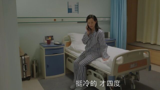 表情包事件后果严重!季区长仕途受阻,刘静瞒的才是真严实!