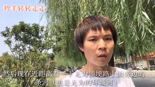 实拍在安徽无为环城河旁边的紫园,风景不错