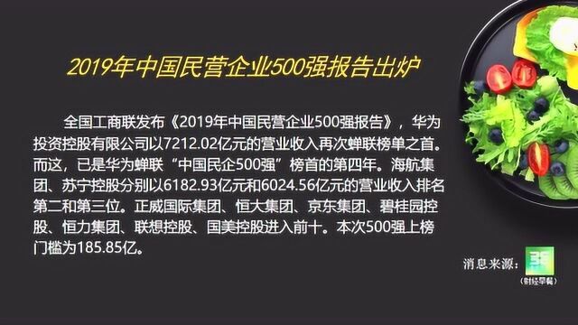 2019年中国民营企业500强报告出炉