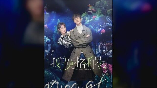 杨紫、马天宇领衔主演的电视剧《我的莫格利男孩》即将开播