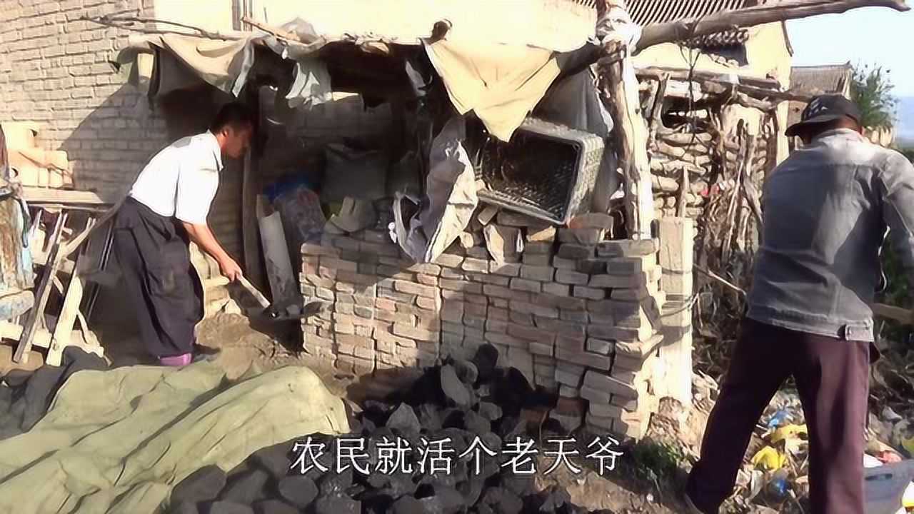 农村大黑为了省钱早早买炭为何大黑又担心收成一番话太有理