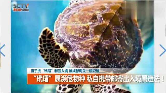 男子携“玳瑁”制品入境 被成都海关一眼识破