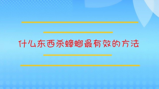 什么东西杀蟑螂最有效的方法?