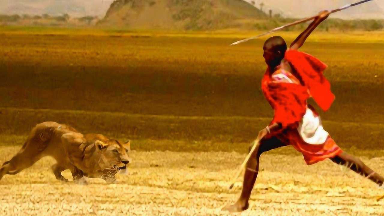 狮子一见到"马赛人",为什么会掉头逃跑?原因让人傻眼!