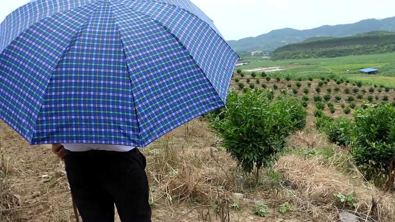 韦昭尤说风水