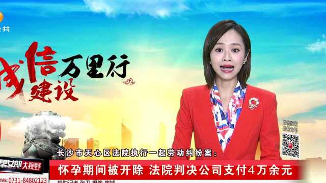 长沙市天心区法院执行一起劳动纠纷案