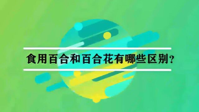 食用百合和百合花有哪些区别?