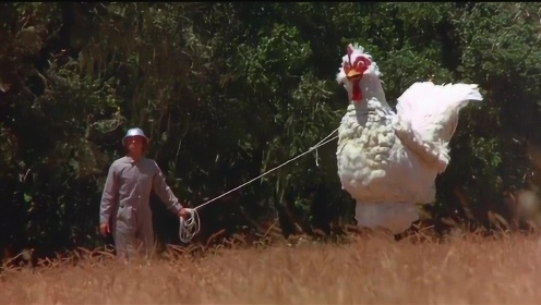 搞笑电影：小伙一觉睡了200年，醒来后发现现在的小鸡比牛大