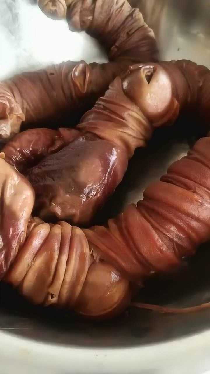 在饭店吃饭看到这一盆的狗肠老板说这个好吃我看着就害怕