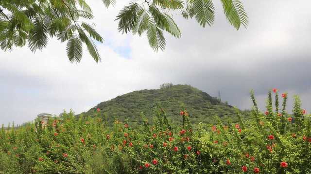 岗村联动梦圆虾山