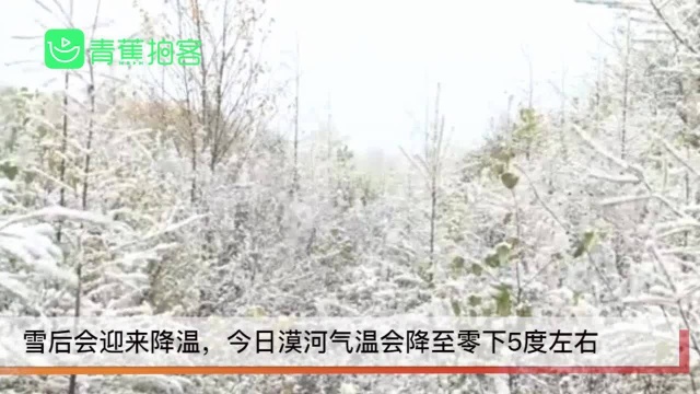 一秒过冬!“中国最北城市”漠河迎来今秋首雪