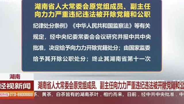 湖南省人大常委会原党组成员、副主任向力力被开除党籍和公职