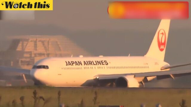 日本航空公司空姐确诊感染 服务时正常佩戴口罩和手套