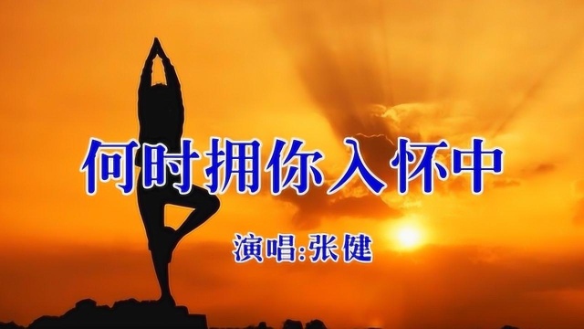 DJ歌曲《何时拥你入怀中》,张健演唱.网络情歌,好听醉人!